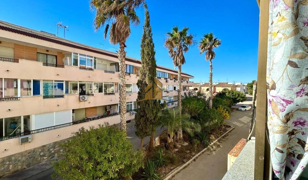 Apartamento - Venta - Pilar de la Horadada - Mil palmeras