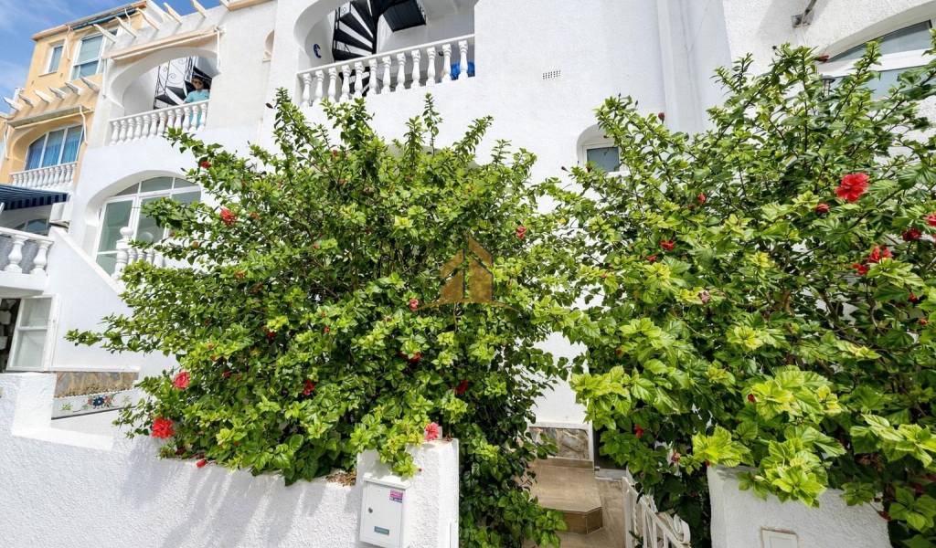 Apartment - Sale - San Miguel de Salinas - Las filipinas