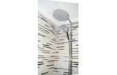  Detail: shower