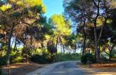 Sale - Villa - Dehesa de campoamor - Campoamor