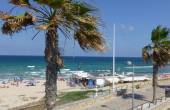 Short time rental - Apartment - Pilar de la Horadada - Mil palmeras