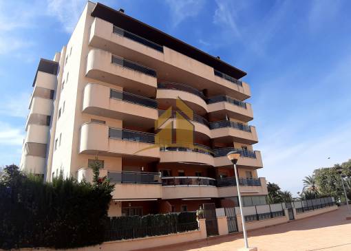 Apartamento - Venta - Arenales del Sol - Arenales del Sol