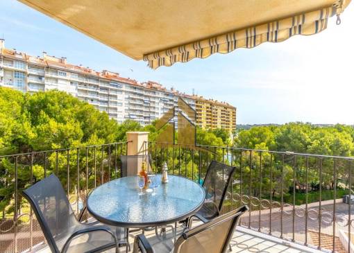 Apartment - Sale - Orihuela Costa - Campoamor