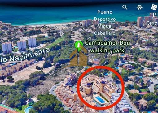 Parking - Wtórny - Dehesa de campoamor - Altos de campoamor