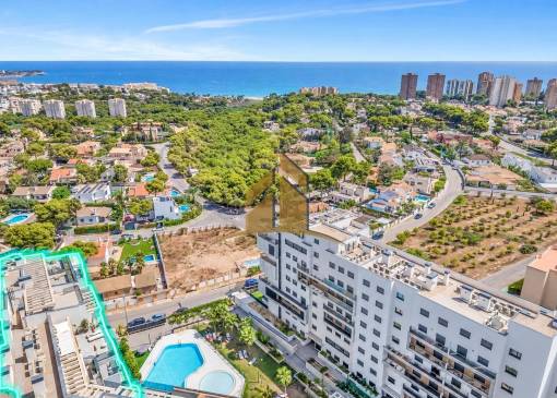 Apartment - Sale - Dehesa de campoamor - Campoamor
